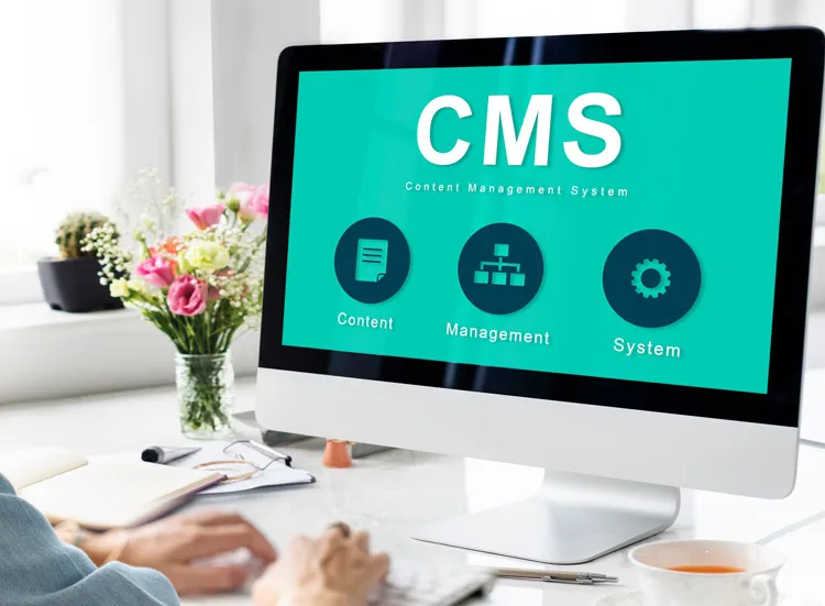pantalla mostrando un CMS
